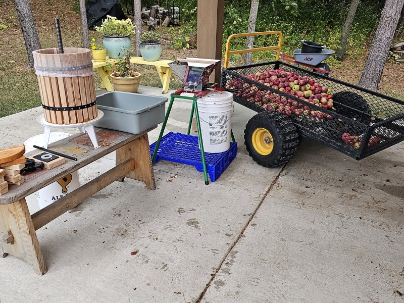 Making delicious apple juice to turn into hard cider.