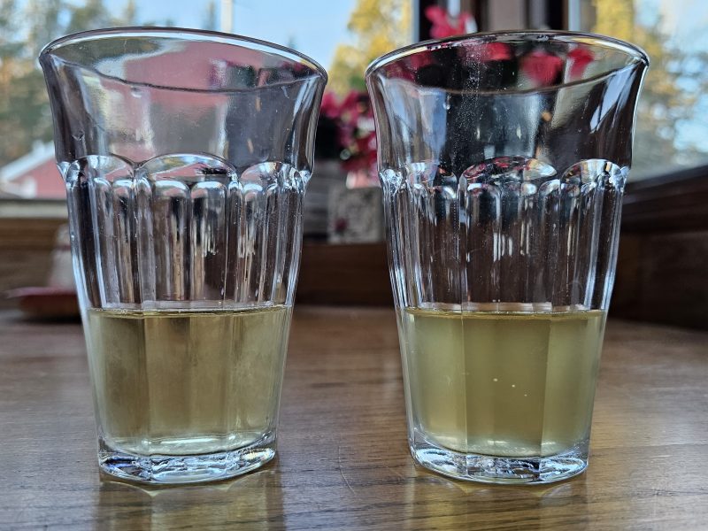 Comparison samples between batches of cider