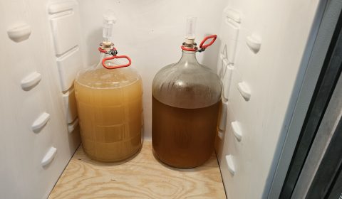 In for the long rest